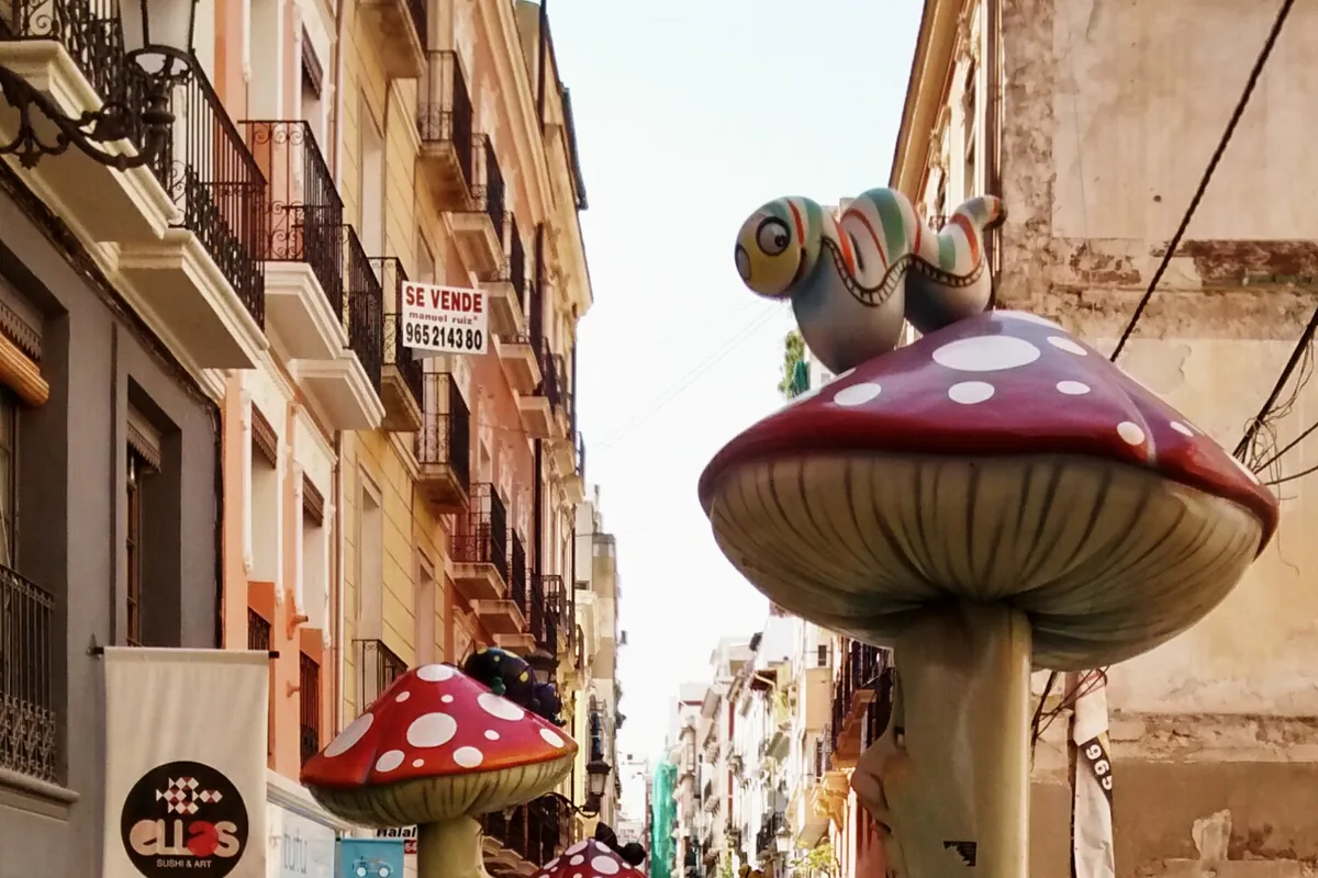 La rue des champignons